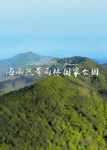 日本版熟妇的荡欲