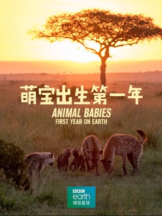 日本无码免费A毛片