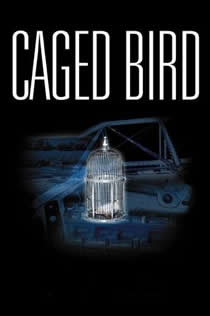 傅宁洲时忆晗小说免费阅读